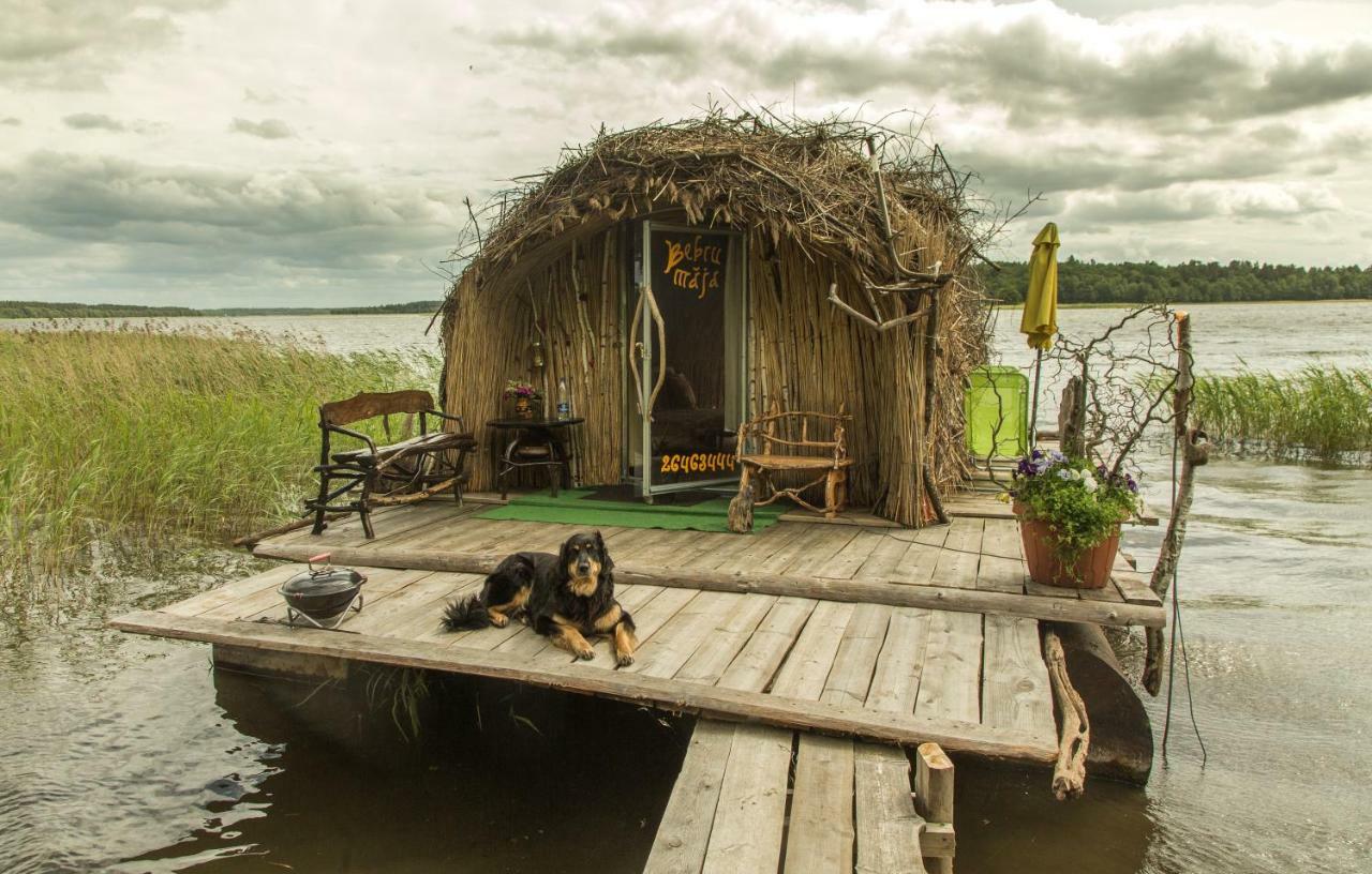 Bebru Maja - Beaver House Usma Exterior foto